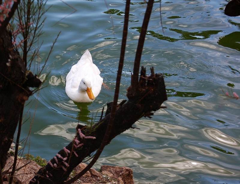 Parque de la Ciutadella