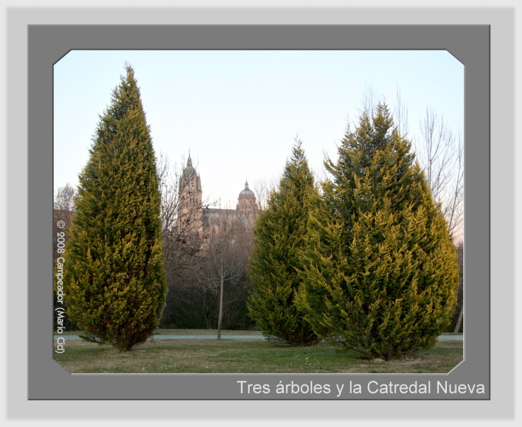 Tres rboles y la Catedral Nueva - Three Trees and the New Cathedral. Photography: Campeador.
