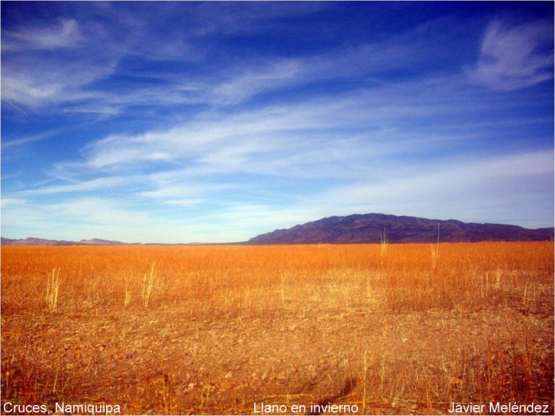 Llano en invierno