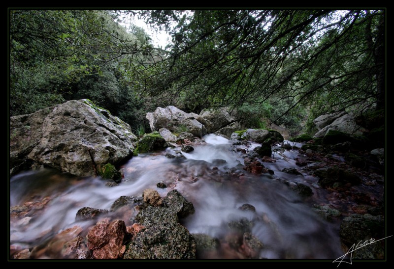 Torrents de Mallorca