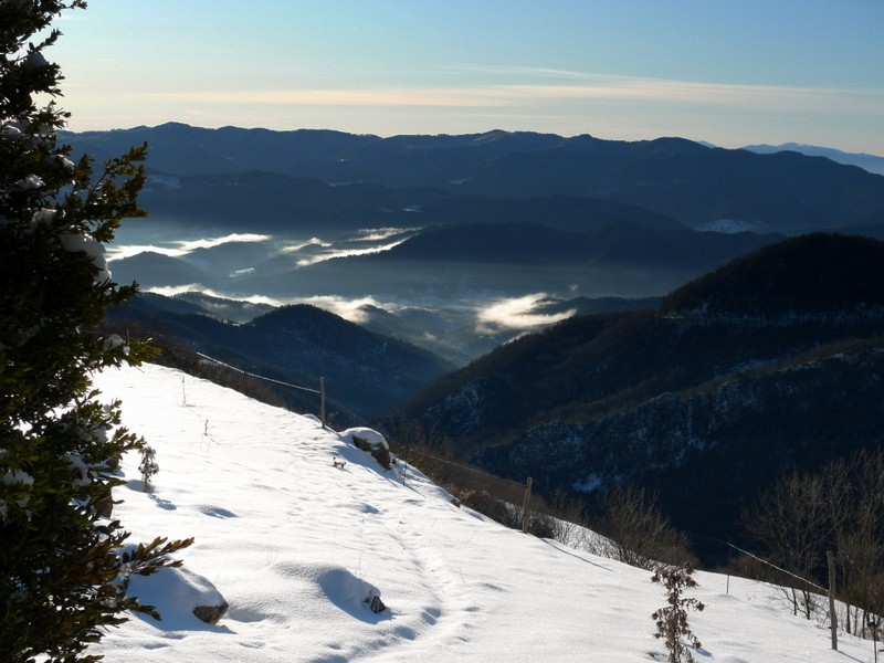 niebla y nieve