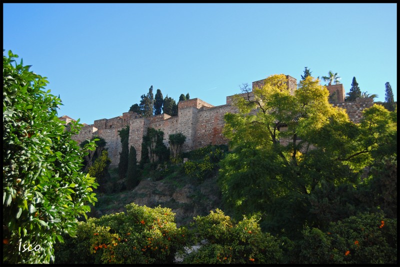 Alcazaba, entre naranjos