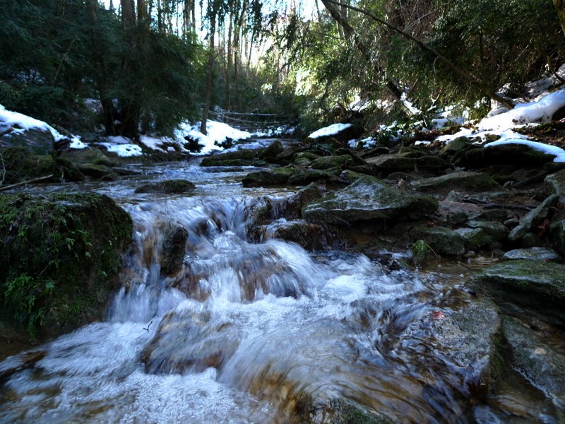 el rio que nos lleva