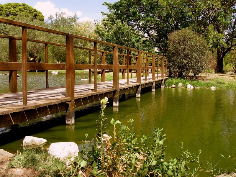 COMO UN PUENTE DE MADERA