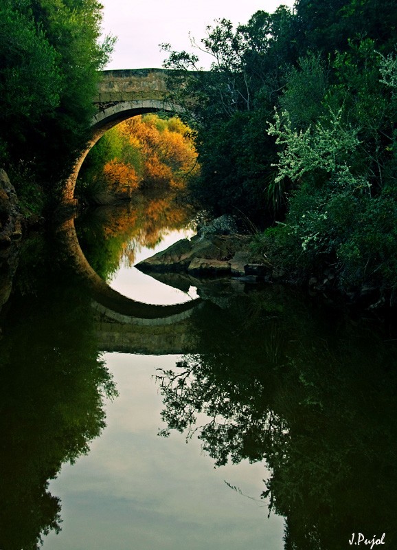 Puente de la Albufera