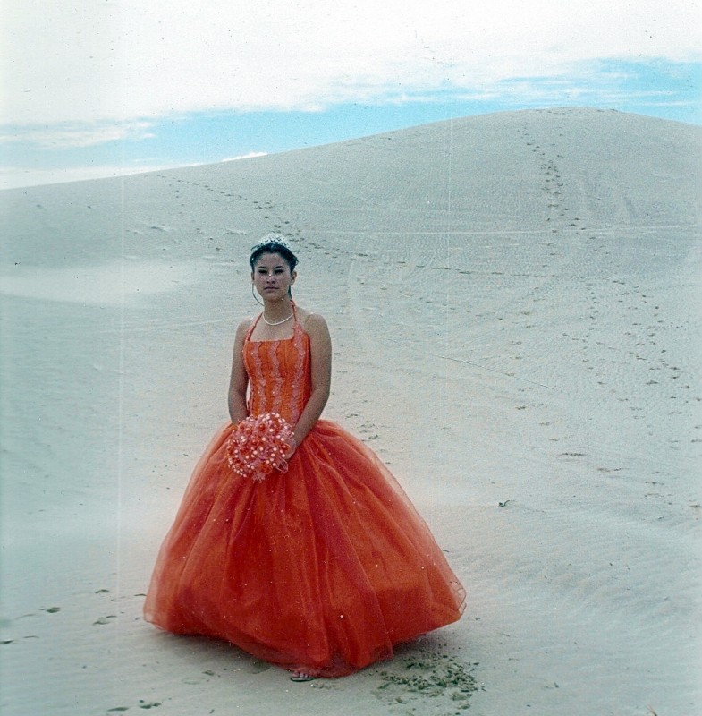 Alicia en el pas de las dunas