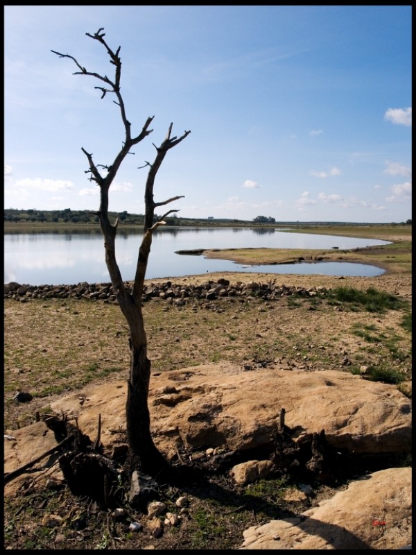 Embalse Los Canchales