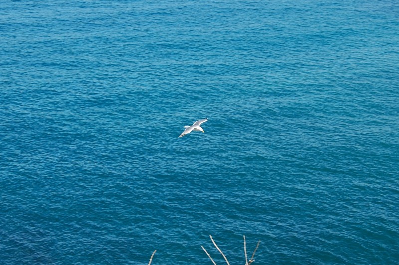 sobrevolando el mar