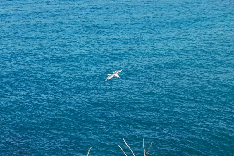 sobrevolando el mar