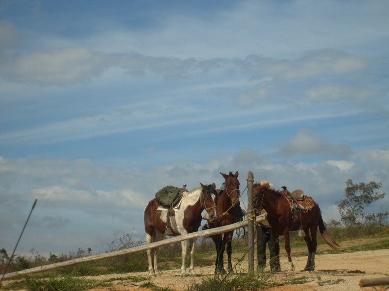 Un descanso