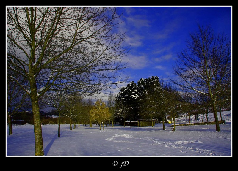 PAISAJE INVERNAL