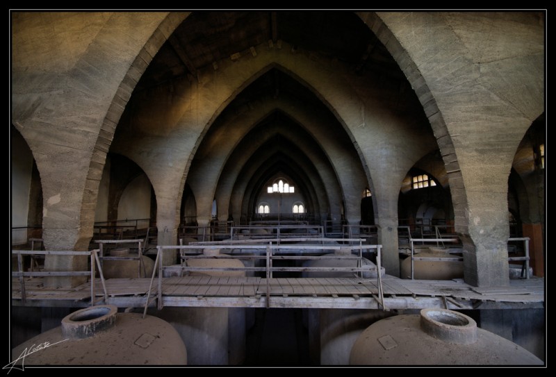 Bodega Cooperativa de Felanitx IV