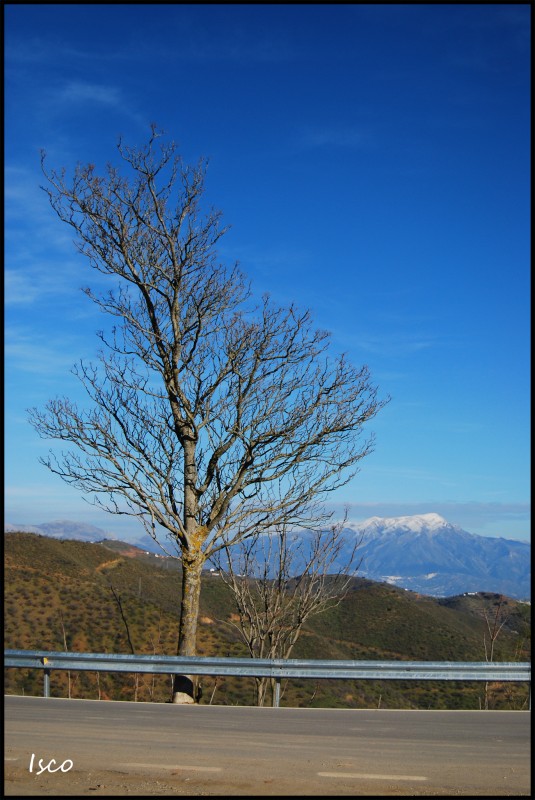 Junto a la carretera