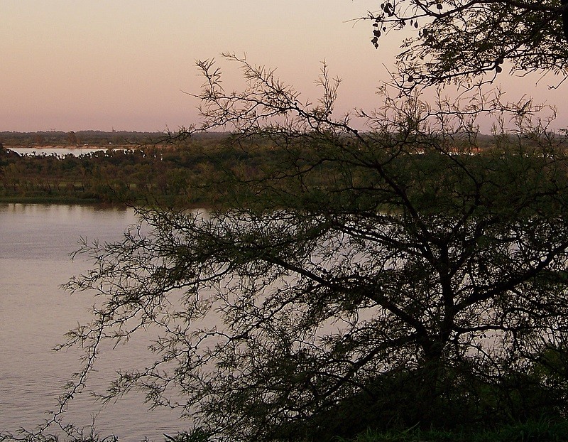 El Paran y sus verdes de la costa