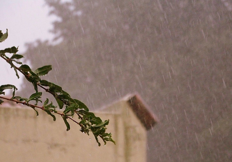 Y lleg la tan ansiada lluvia!!!