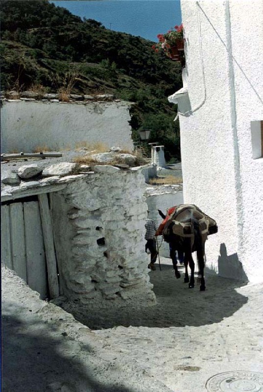 Alpujarras