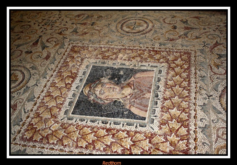 Uno de los magnficos mosaicos romanos de Bulla Regia