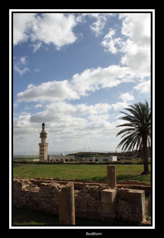 Ruinas de Bulla regia, al fondo la mezquita del pueblo