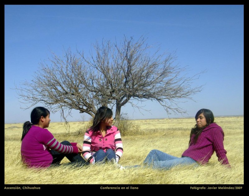 Conferencia en el llano