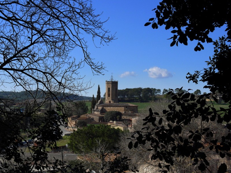 Monells