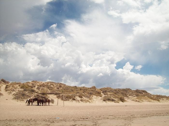 ESPERANDO LA TORMENTA