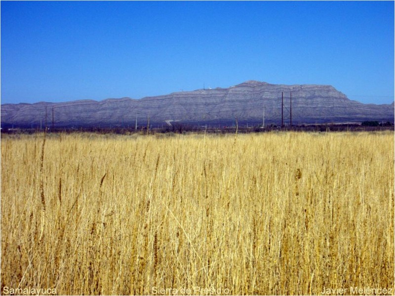 Sierra de Presidio