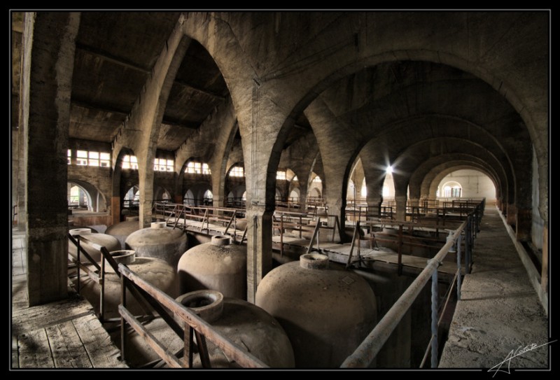 Bodega Cooperativa de Felanitx VIII