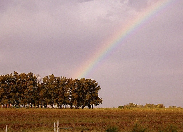 Arco iris arbolado