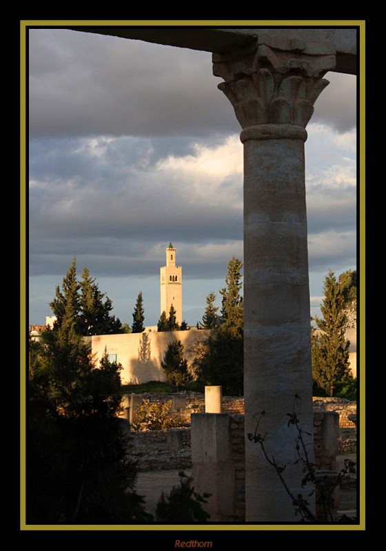 Jardines del museo del Yem, al fondo mezquita