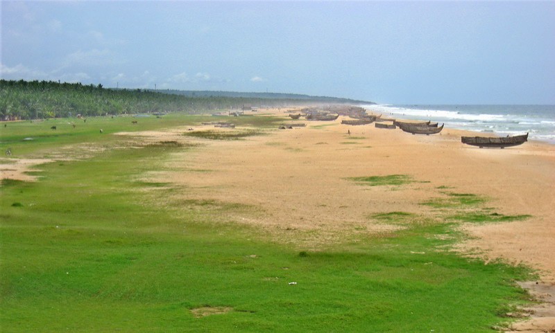 Playa Ashok