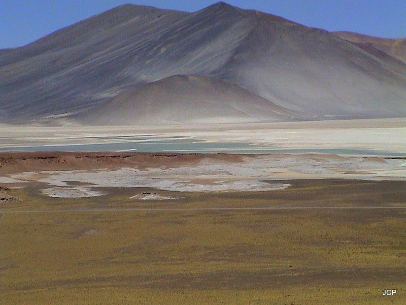 Altiplano de Atacama