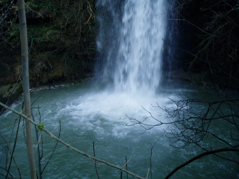 LA FUERZA DEL AGUA EN MOVIMIENTO