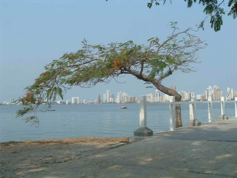 Cartagena de Indias