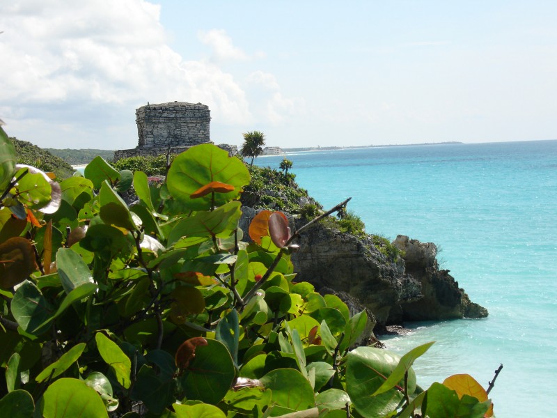 paisaje desde la torre