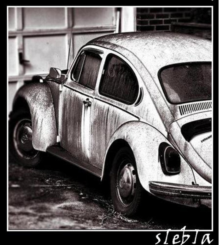  Volkswagen Escarabajo !