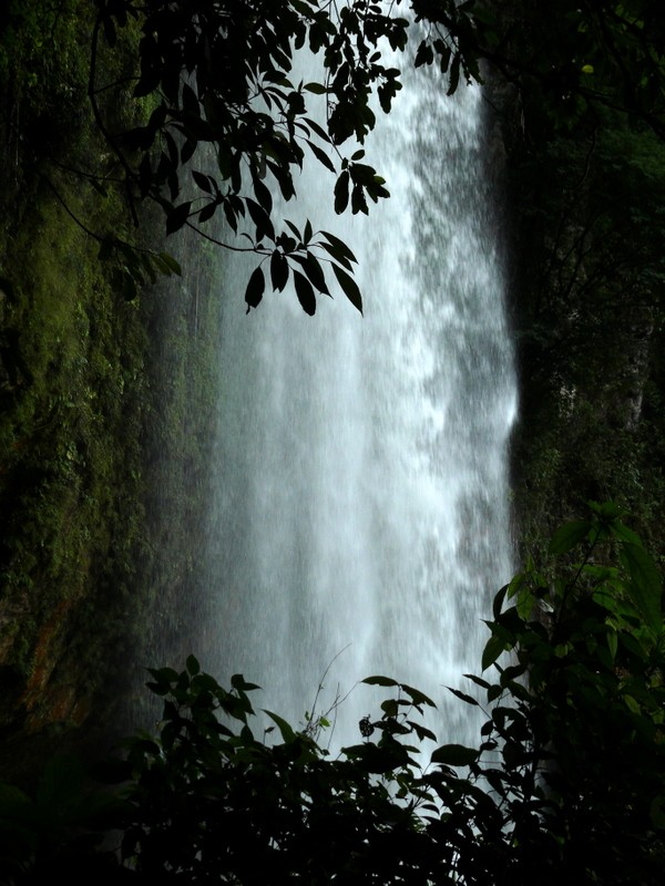 cascadas de Misol-H