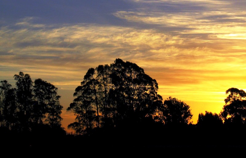 EL CIELO