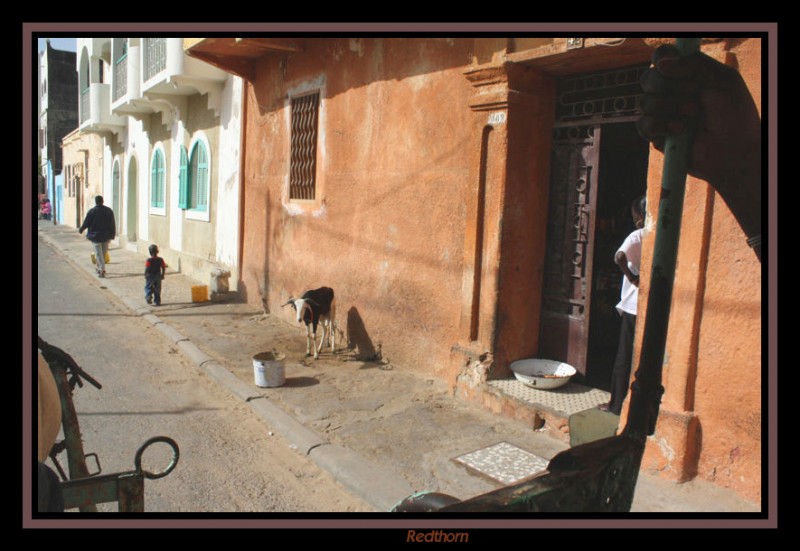 Una calle cualquiera de Saint Louis