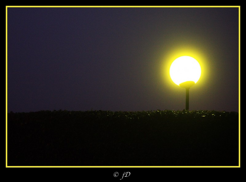 LUZ EN LA NIEBLA