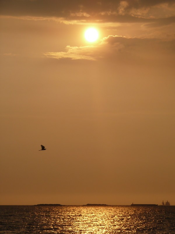 Atardecer caribeo