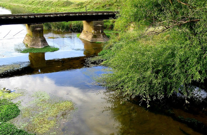 RBOL VERDE, ARROYO...