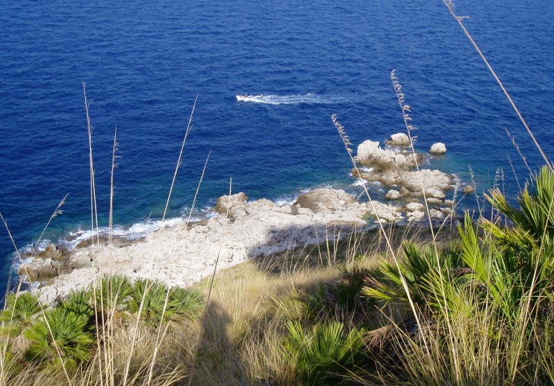 navegando por la costa