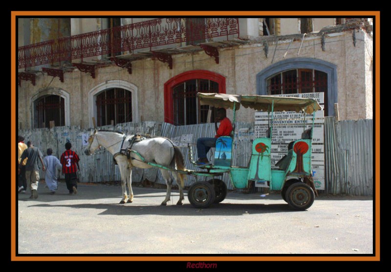 Calesa para el paseo turstico por la ciudad