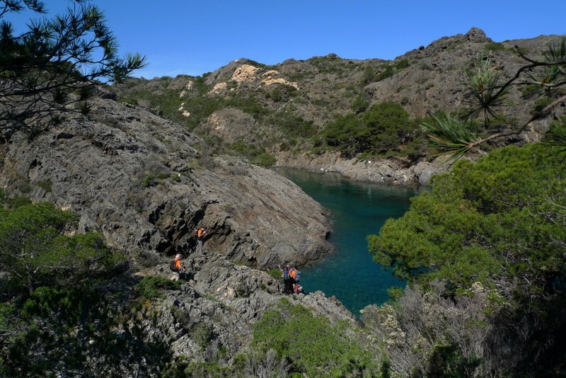 Cala Galladera