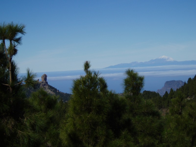 Roque Nublo VS Teide