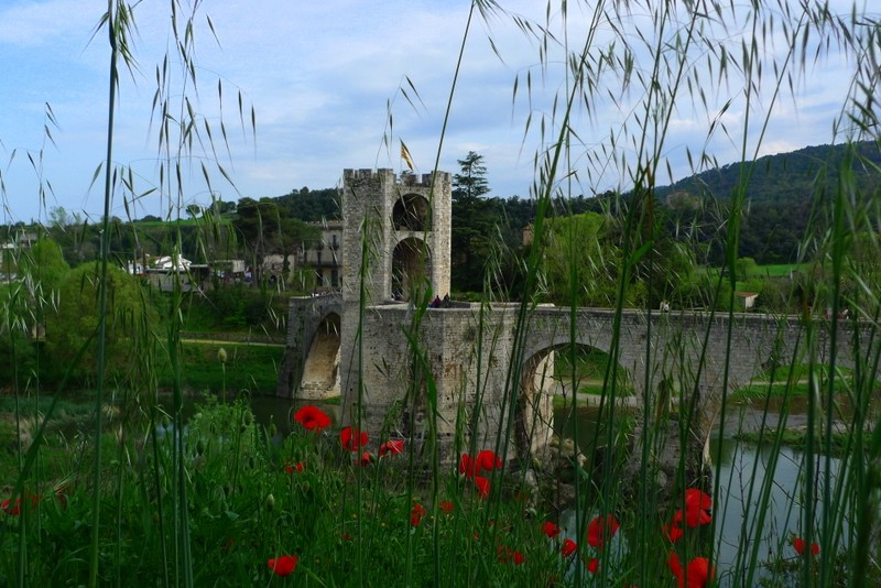 Puente romnico III