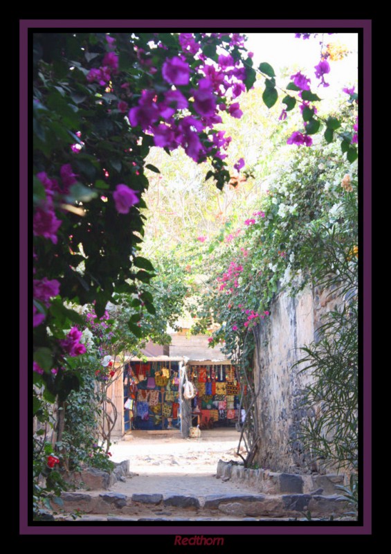 Venta de artesana local enmedio de hermosos jardines