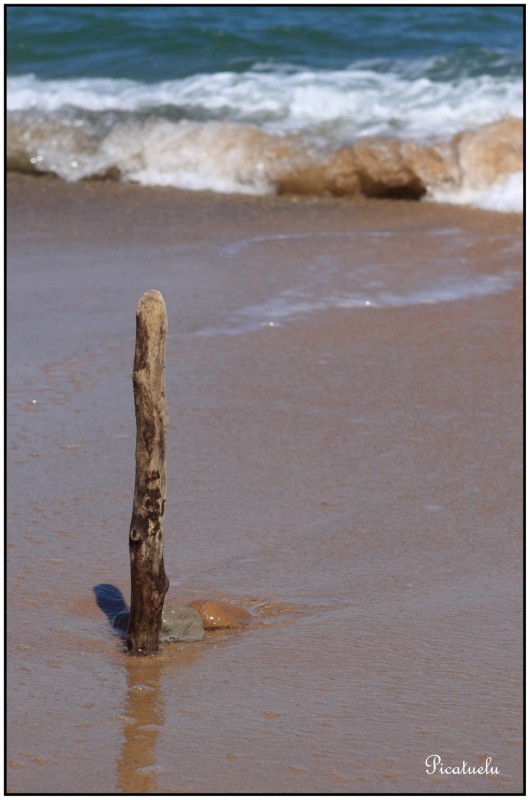 Madera y agua