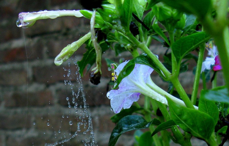 UNA GOTA DE AGUA