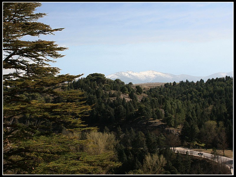 Navacerrada desde el Alcazar